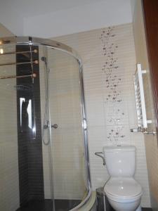 uma casa de banho com um WC e uma cabina de duche em vidro. em Agroturystyka na Górce em Nowa Wies
