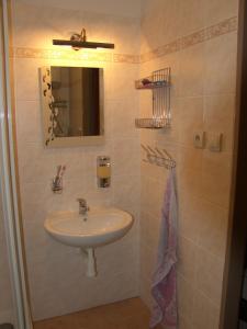 a bathroom with a sink and a mirror at Horské apartmány Jeseníky in Malá Morávka