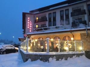 Ski Zone at Gondola, Perfect One Bdrm, Fast WiFi, Netflix, Quiet, Warm during the winter