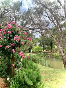 Afbeelding uit fotogalerij van Le Petit Chateau Homestead Bridgetown in Bridgetown