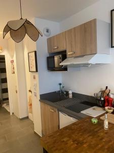 una cocina con fregadero y encimera en joli petit nid douillet en centre ville, en La Rochelle