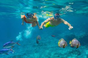 two people swimming in the water with fish at Cozumel Palace-All Inclusive in Cozumel