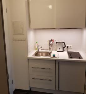 Kuchyň nebo kuchyňský kout v ubytování Quartier 311 mit Pool und Sauna