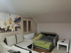 Setusvæði á Apartmani Ognjen
