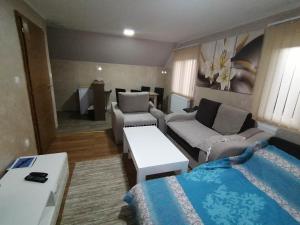 Χώρος καθιστικού στο Apartmani Ognjen