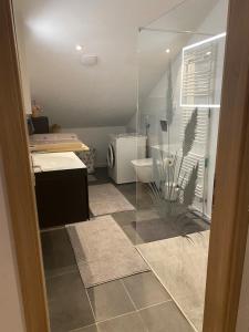 a bathroom with a shower and a toilet and a sink at Ferienwohnung Lehmann in Staufen im Breisgau +9 photos