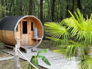 a small wooden cabin in the middle of a forest at Au Bois Flotté in Hourtin