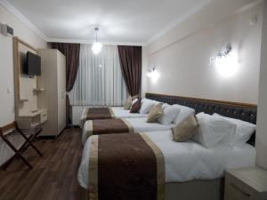 TV a/nebo společenská místnost v ubytování BeyazitHan Suites Old City