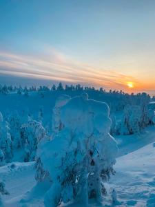 Afbeelding uit fotogalerij van Ruka Chalet Roma in Ruka