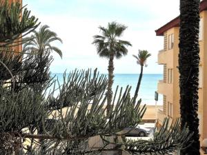 Blick auf den Strand und die Palmen von einem Gebäude aus in der Unterkunft Las Nereidas LEK in Peñíscola