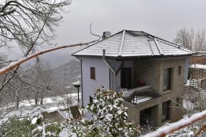 Pefkofyto Mountain Retreat during the winter