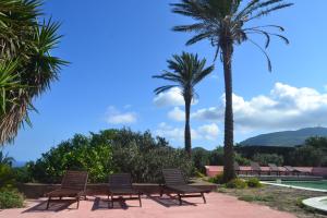 a group of chairs and palm trees next to a swimming pool at Agriturismo Zinedi in Pantelleria +23 photos