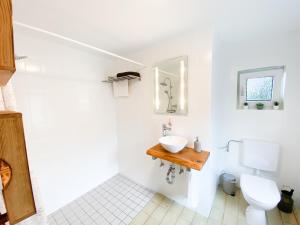 ビスピンゲンにあるFerienwohnung Hemmerleの洗面台とトイレ付きのバスルーム +43枚の写真