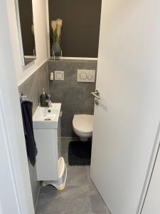 Koupelna v ubytování Ferienhaus Gmunden + 27 fotografií