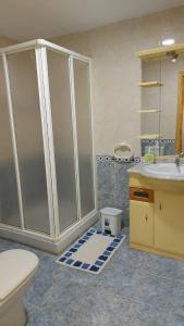 a bathroom with a shower and a toilet and a sink at Casa Rural cueva cerros in Fuentidueña de Tajo