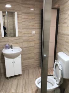 La salle de bains est pourvue de toilettes et d'un lavabo. dans l'établissement Casa Adrian, à Hîrşova