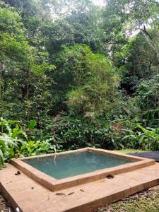 uma piscina no meio de um jardim em Los Mineros Guesthouse em Dos Brazos