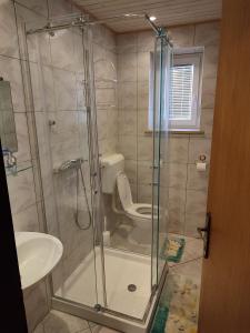 a bathroom with a shower with a toilet and a sink at Gostilna Pension Blegoš in Poljane nad Škofjo Loko +82 photos