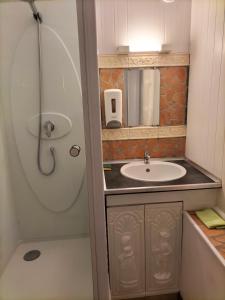 La petite salle de bains est pourvue d'un lavabo et d'une douche. dans l'établissement Marie-Claire la grillade, à Briare