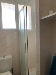 a bathroom with a toilet and a glass shower at Cap d Antibes, Salis beach , 2 bedrooms , free parking in Antibes