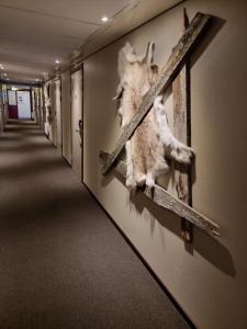 MalåHotell Tjamstan Malå的相册照片