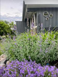 a garden with purple flowers in front of a house at Ostsee-Auszeit in Stakendorf