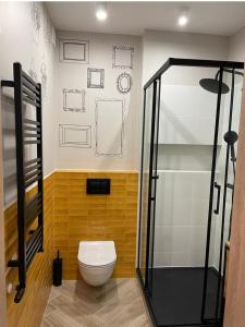 a bathroom with a toilet and a shower at Piotrkowska 89 Apartments & Suites in Łódź