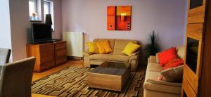 uma sala de estar com um sofá e uma televisão em Tolle, gemütliche, voll möblierte 3 Zimmer Wohnung. em Baden-Baden