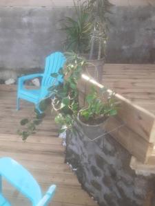 Zahrada ubytování Résidence L' ALAMANDA