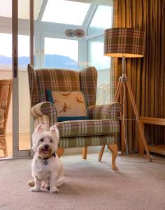 Animal sau animale de companie care stau la Loch Rannoch Highland Club