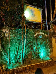 una exposición iluminada de un jardín por la noche en Pousada Quintessência, en Arraial d'Ajuda