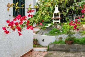 Zahrada ubytování Apartamento Cap Roig