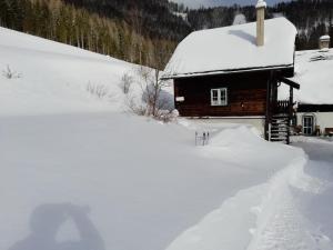 Ferienhaus Pliescherhof v zimě