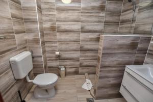 łazienka z toaletą i umywalką w obiekcie É-Vaskó Panzió Borpince w Tokaju