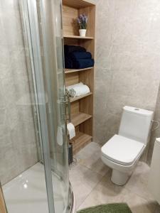 a bathroom with a toilet and a shower at Apartament Kwiatowy in Lubin