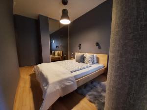 a bedroom with a bed and a large mirror at InnerCity Apartments in Budapest