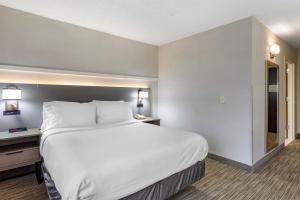 Katil atau katil-katil dalam bilik di Comfort Inn Paramus - Hackensack