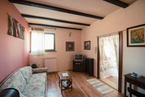 Una sala de estar con un sofá y un televisor. en Casa Margherita, en Grožnjan