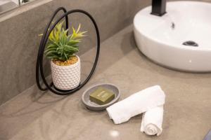 uma casa de banho com uma planta num vaso ao lado de um lavatório em Wineport Lodge em Glasson