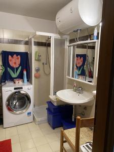 ein Badezimmer mit einer Waschmaschine und einem Waschbecken in der Unterkunft 036 Trilocale piano terra, Pinzolo in Pinzolo