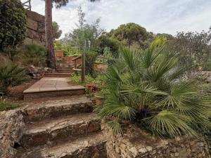a garden with a stone staircase and a plant at Canyelles BBQ Apartment in Lloret de Mar