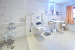 a bathroom with a toilet and a sink at Stadel Hof Altötting in Altötting +36 photos