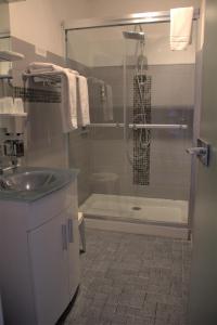 a bathroom with a shower and a sink at Logis Hôtel Le Clement V in Roquemaure