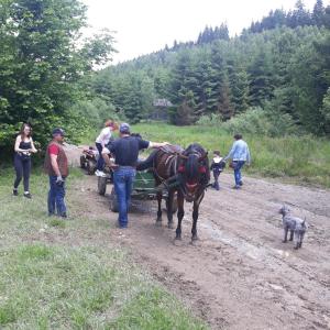 a man pulling a horse drawn cart on a dirt road at Antonia in Băile Tuşnad