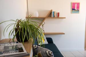 uma planta em vasos sentada em cima de uma mesa de madeira em Charmant appartement avec vue imprenable sur la mer em Les Sables-dʼOlonne