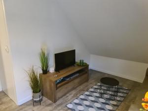 TV a/nebo společenská místnost v ubytování De Gorzen