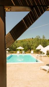 a swimming pool with chairs and umbrellas at Agriturismo Azzarone in Vieste