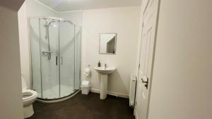a bathroom with a shower and a toilet and a sink at The Old Stables 17a in Dumfries +7 photos