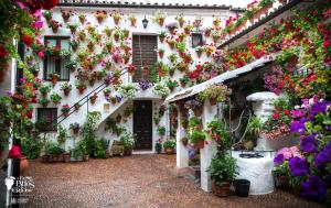 Foto dalla galleria di El rincón de Orive a Cordoba