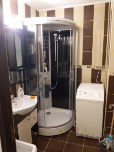 La salle de bains est pourvue d'une douche et d'un lavabo. dans l'établissement Apartment Ploiesti, à Ploieşti
